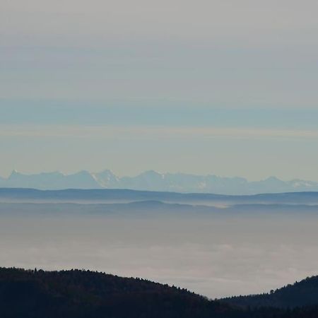 Doller Villa 4 Stars Hot Tub Mountain Ski Ballon D'Alsace Sewen Dış mekan fotoğraf