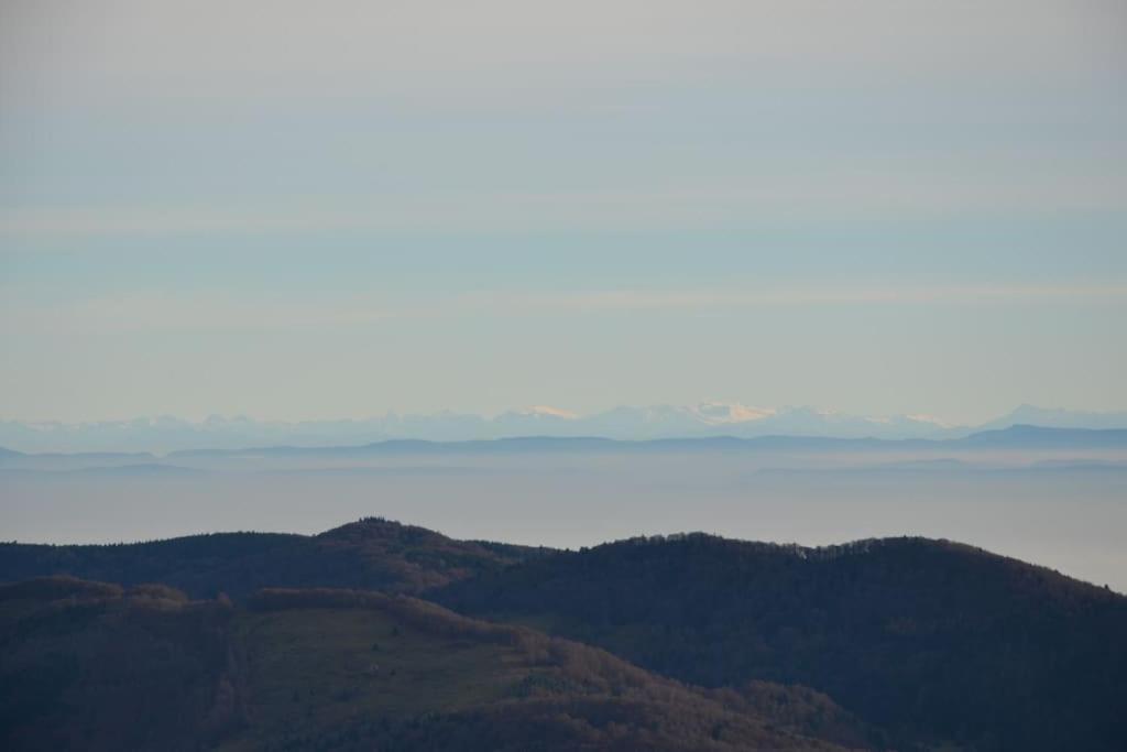 Doller Villa 4 Stars Hot Tub Mountain Ski Ballon D'Alsace Sewen Dış mekan fotoğraf
