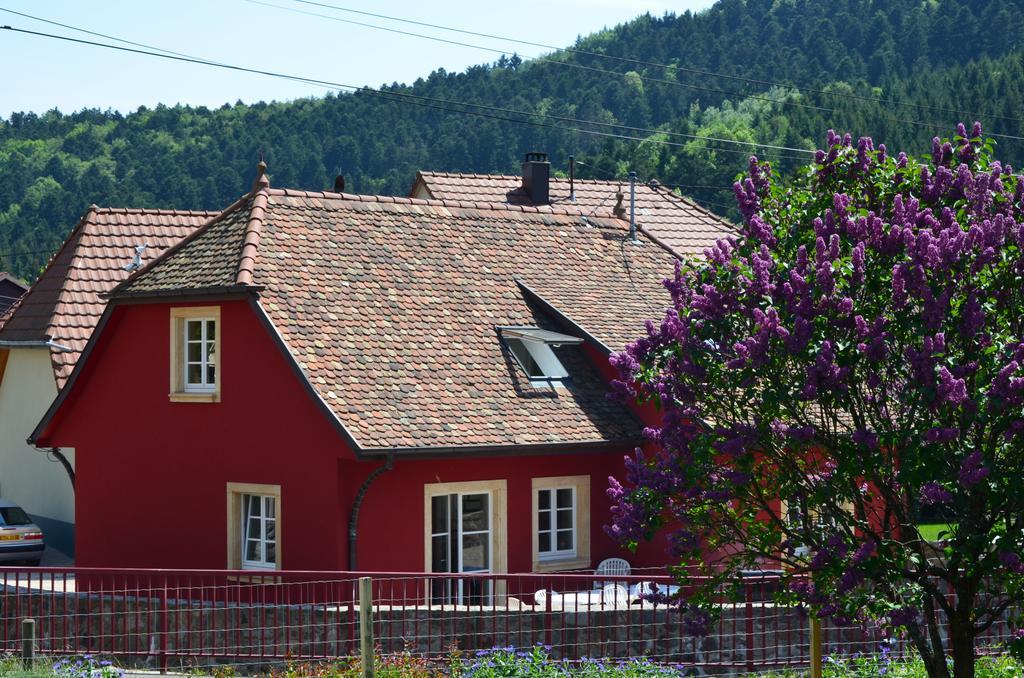 Doller Villa 4 Stars Hot Tub Mountain Ski Ballon D'Alsace Sewen Dış mekan fotoğraf